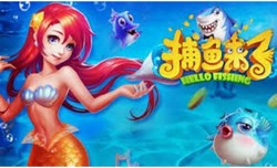 HOYA娛樂城會員等級制度解析，VIP權益大公開